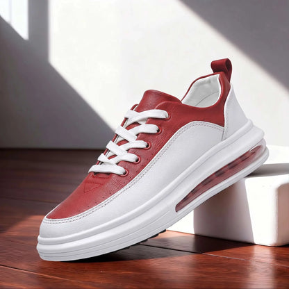 Sutton Court Trainer