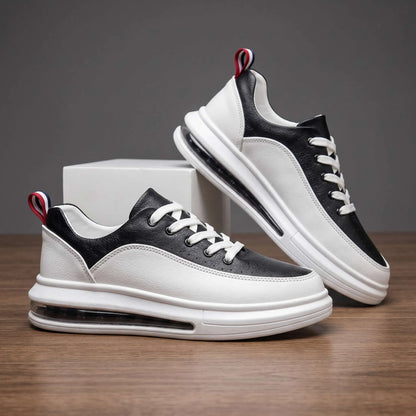 Sutton Court Trainer