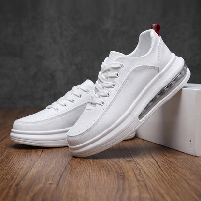 Sutton Court Trainer