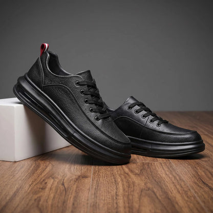 Sutton Court Trainer