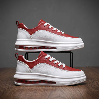 Sutton Court Trainer