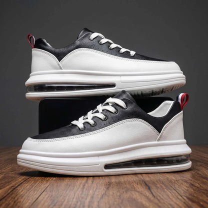 Sutton Court Trainer